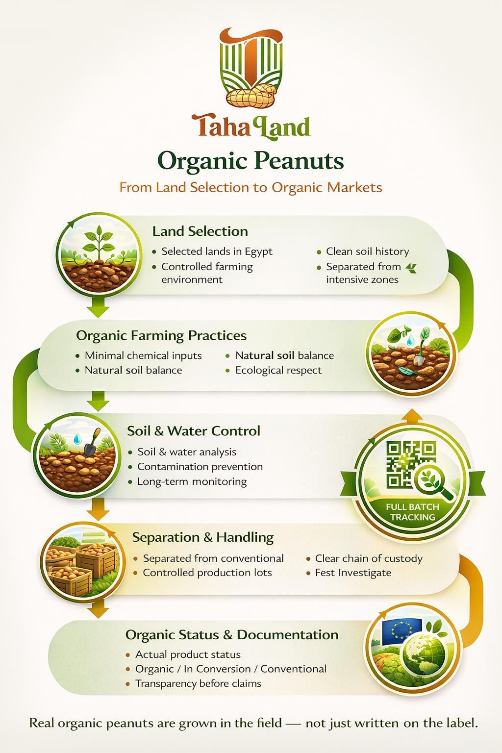 Organic peanuts